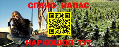 дживик Берёзовский