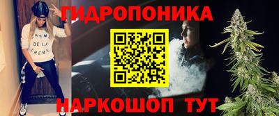 дживик Берёзовский