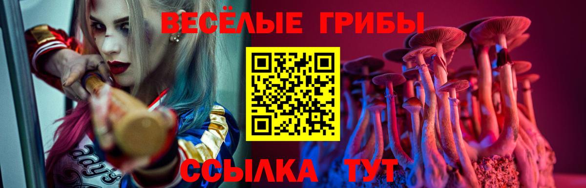 Ирбит  Галлюциногенные грибы Psilocybine cubensis  Вход с VPN  Галлюциногенные грибы Cubensis 